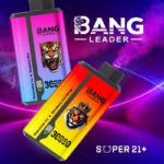Bang Leader 30000 Puffs
