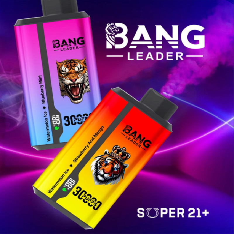 Bang Leader 30000 Puffs